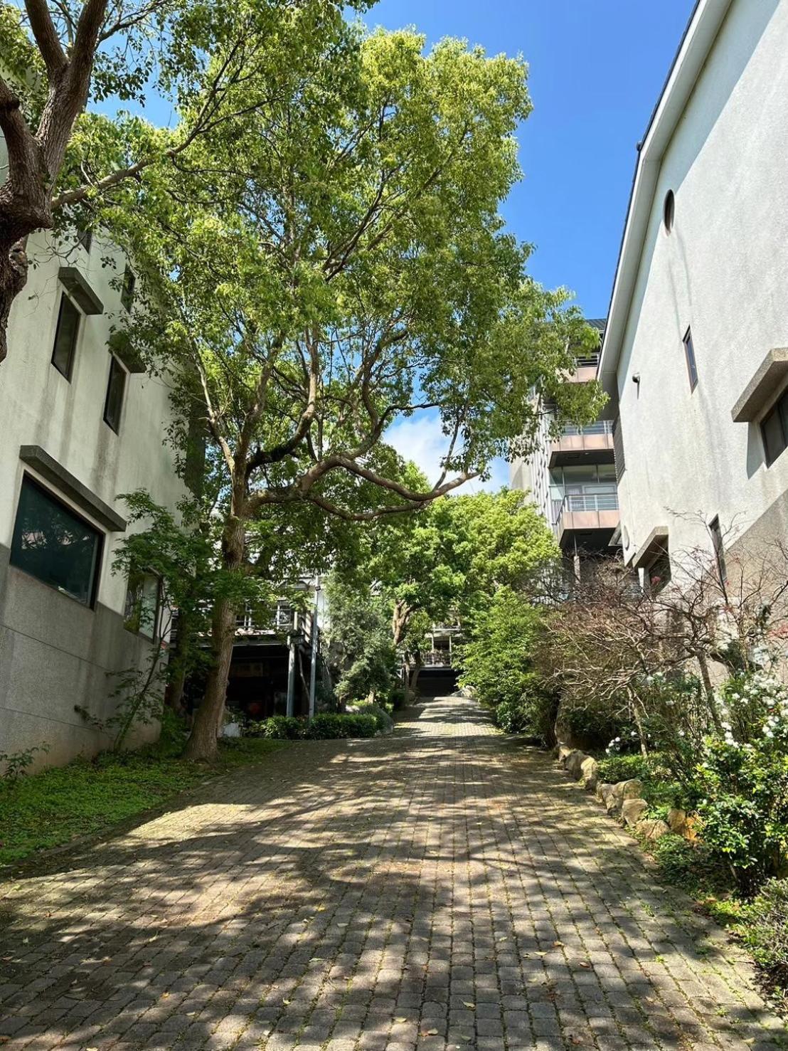 Miaoli Sanyi Travelling Homestay Exterior foto